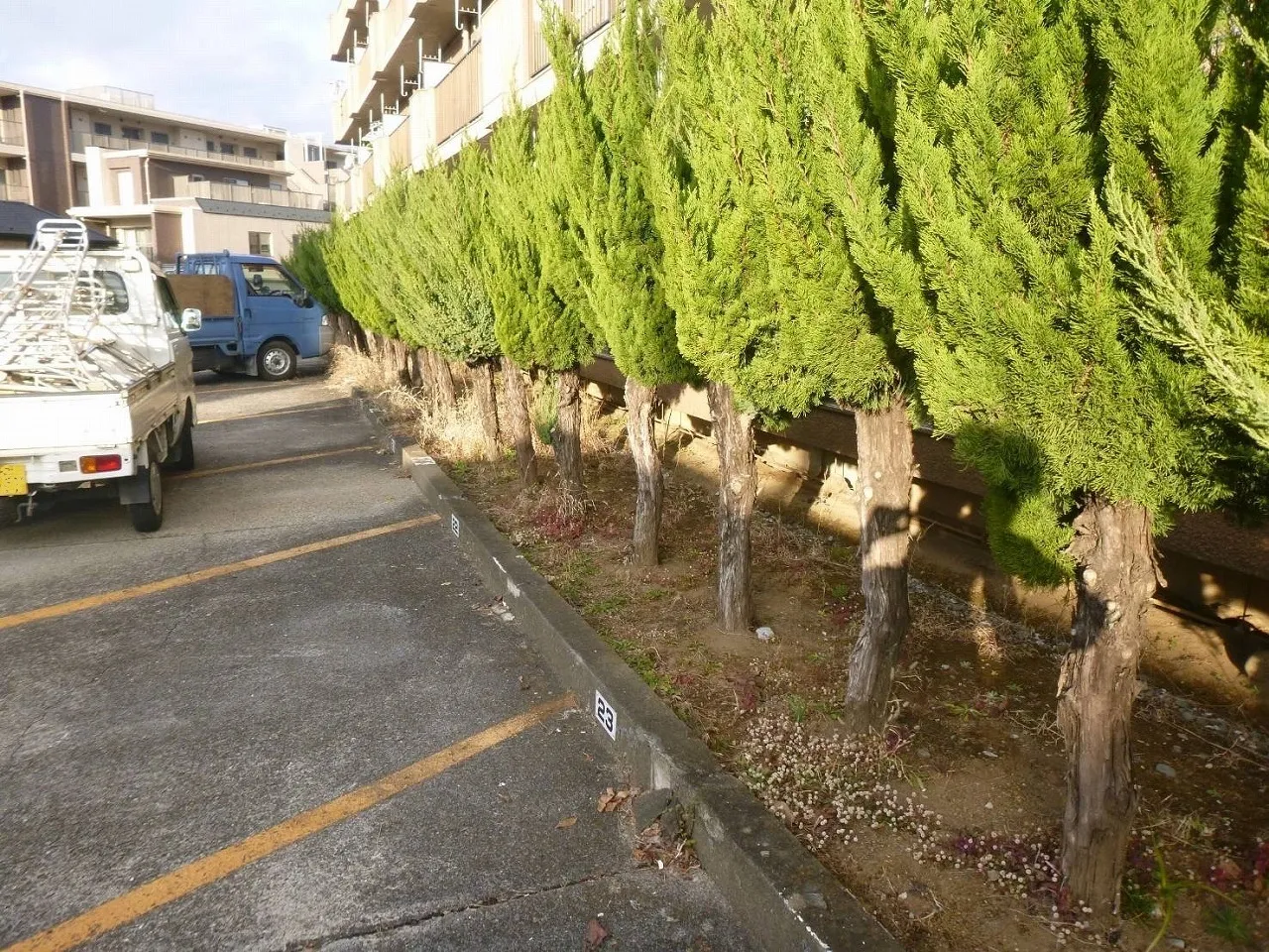 防草シート敷設工事